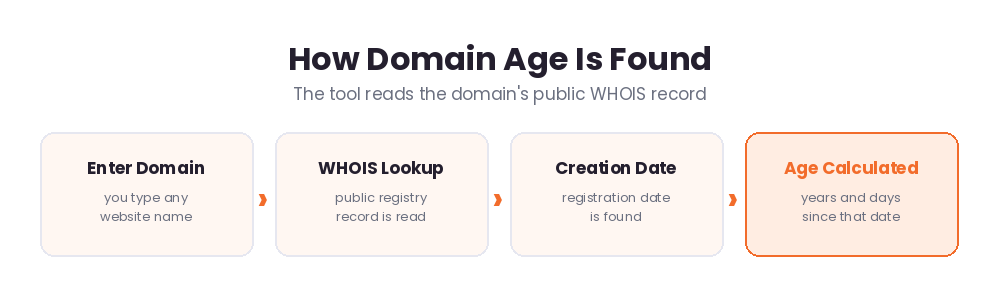How domain age is found: enter a domain, the WHOIS record is read, the creation date is found and the age is calculated