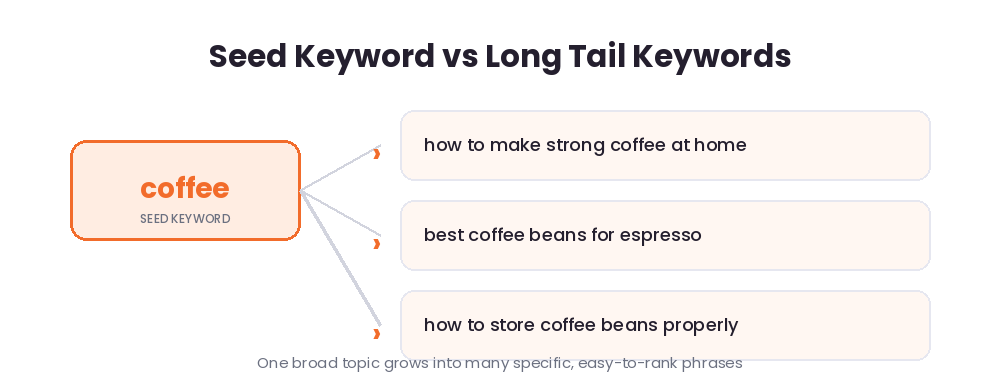 A seed keyword like coffee growing into several specific long tail keyword phrases